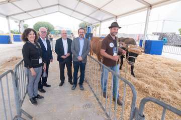 Inauguración de la Feria Gran Canaria Me Gusta (Foto TA)